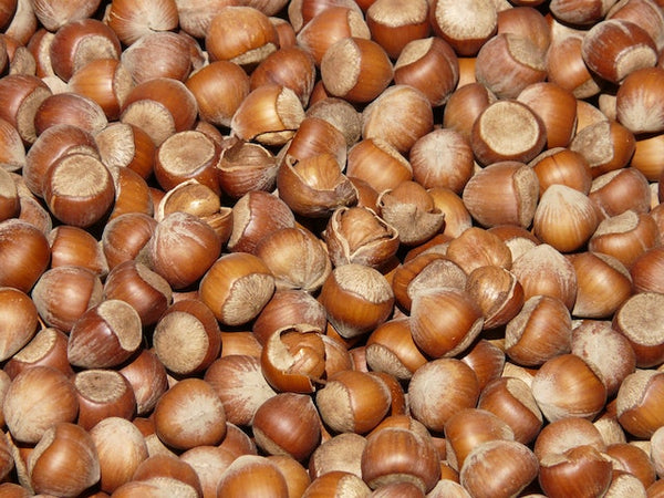 Hazelnuts.