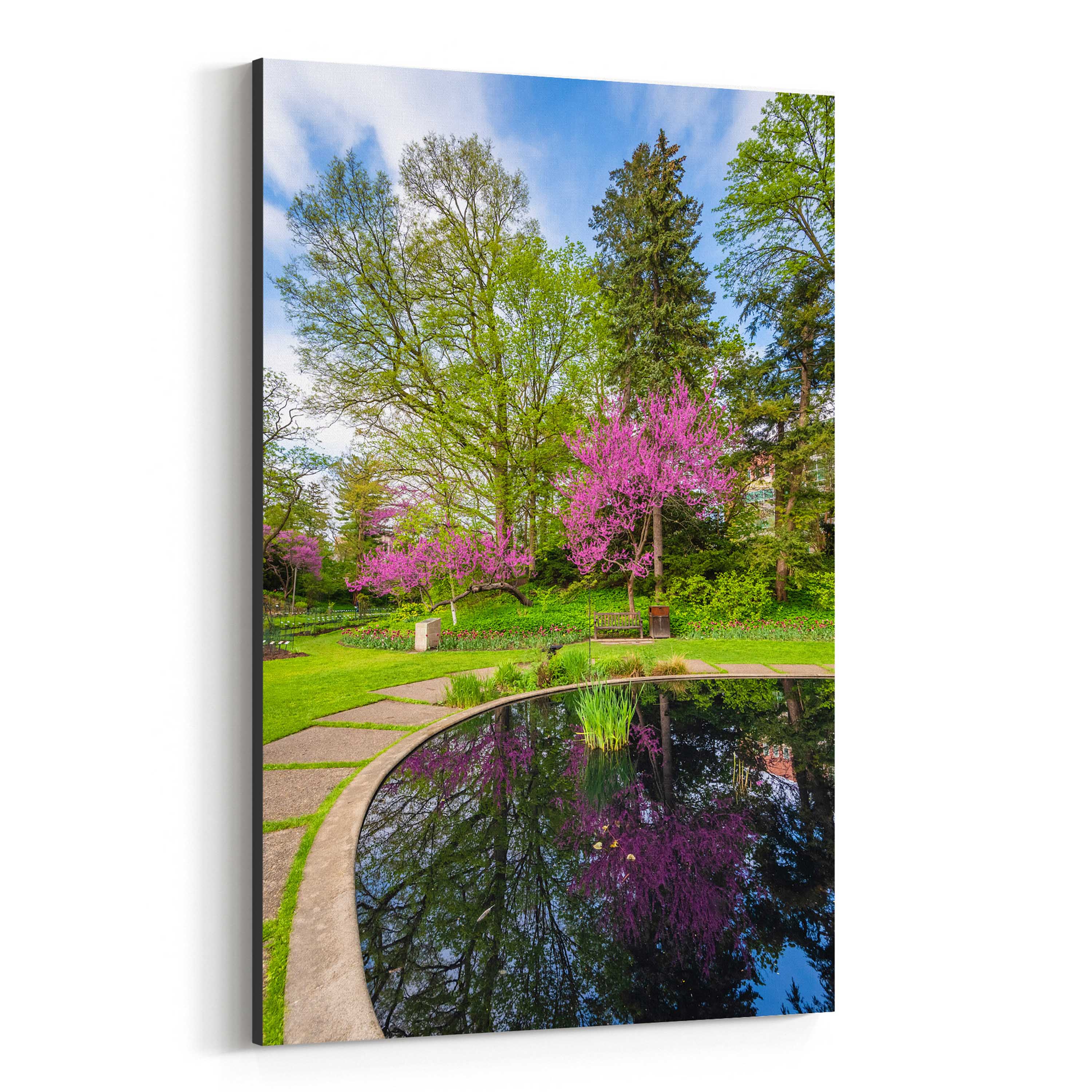 Lansing Michigan State Uni Pond Print Canvas Metal Framed Wall