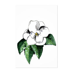 Watercolor Magnolia Flower Print Canvas Metal Framed Wall Art Noir Gallery