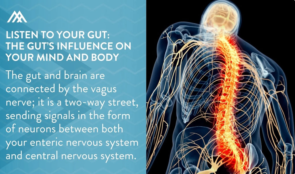 Vagus nerve connection