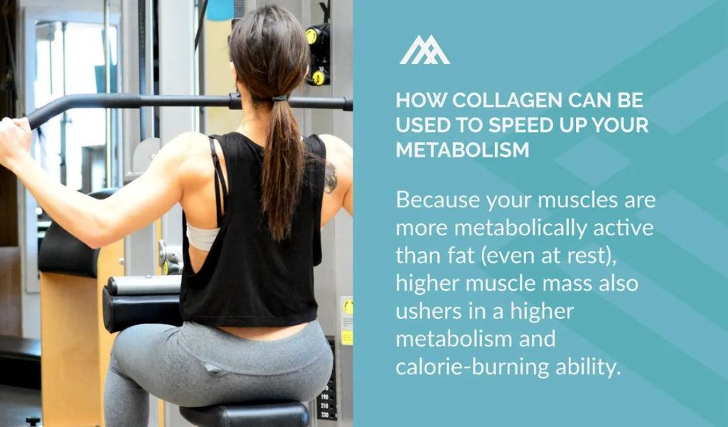Muscles More Metabolically Active