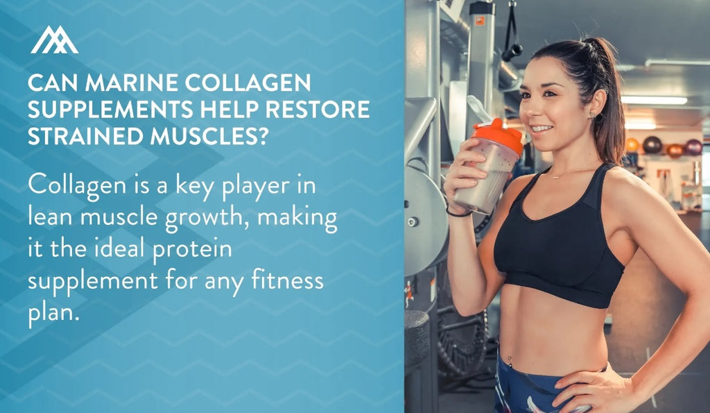 Collagen and Muscle Growth