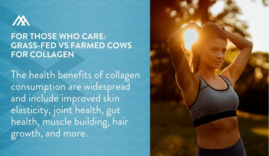 Why you need collagen in your diet