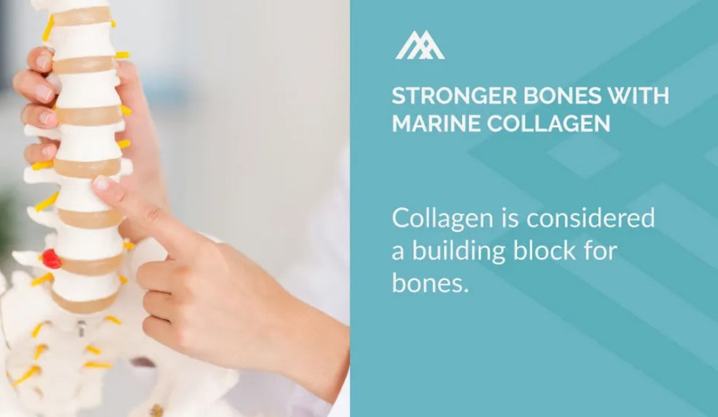 Stronger Bones with Marine Collagen