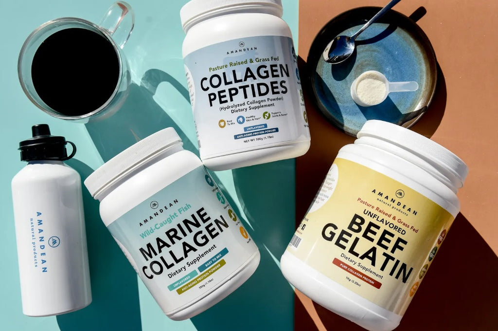 Collagen Nutrition