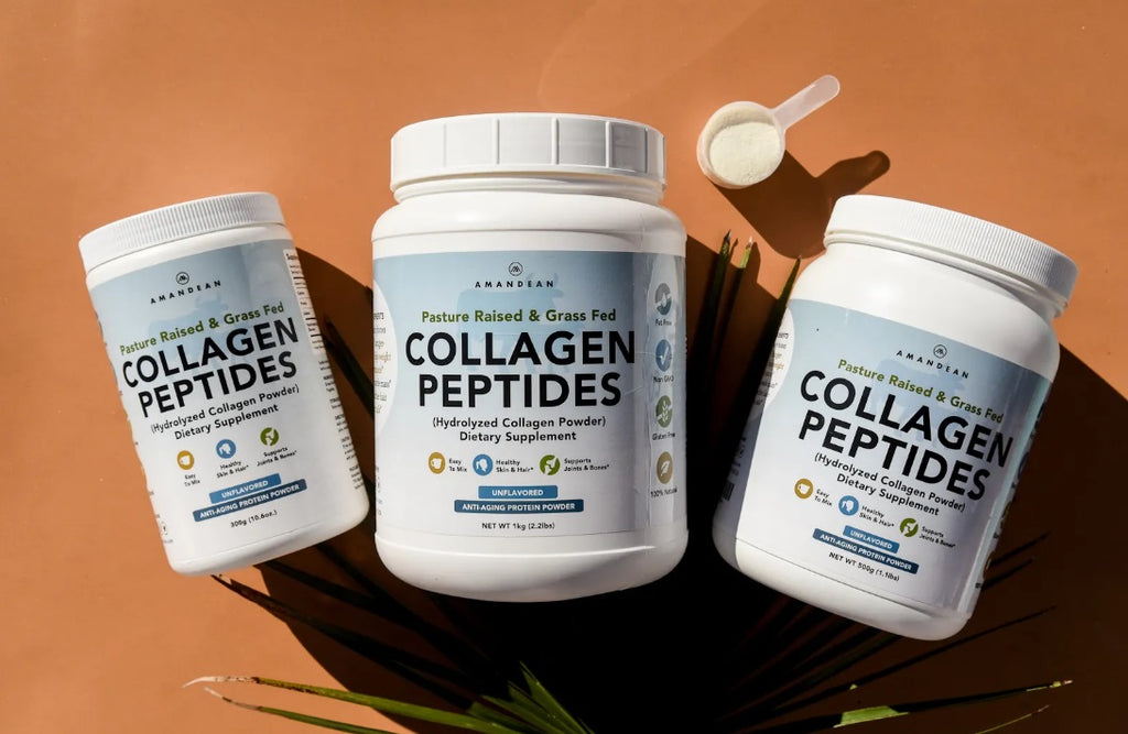 Collagen Nutrition