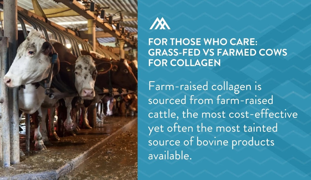 Farm-Raised Collagen