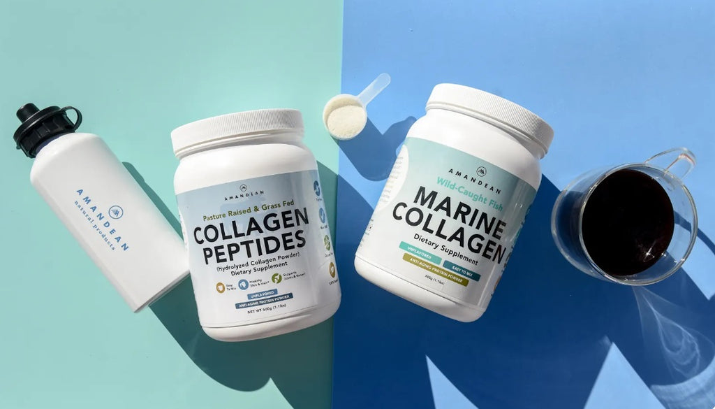 Collagen nutrition