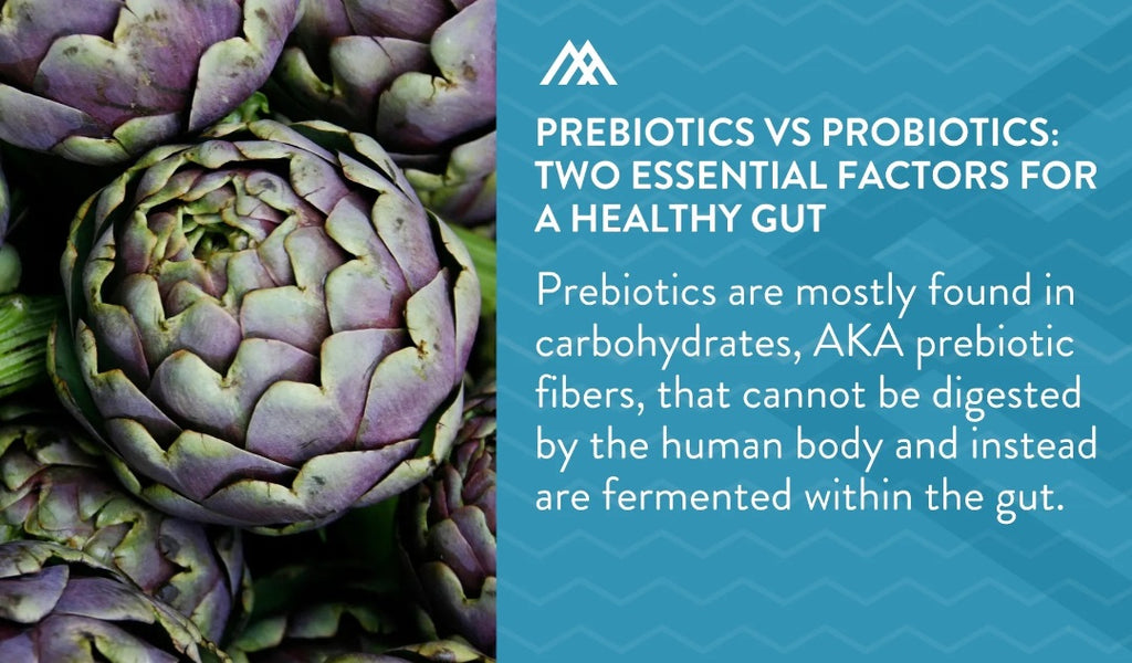 What are prebiotics?