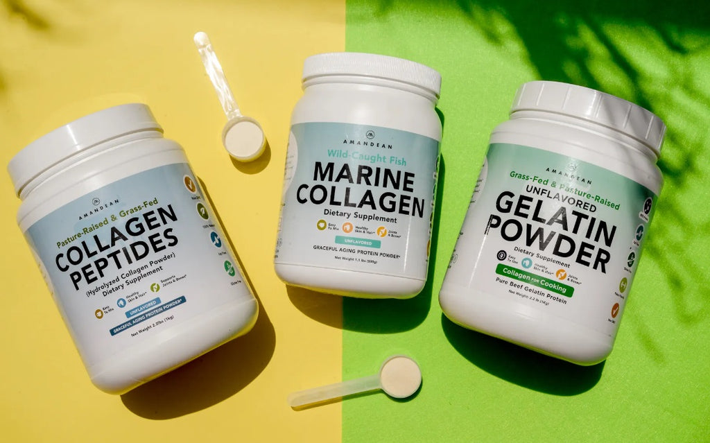 Collagen Nutrition