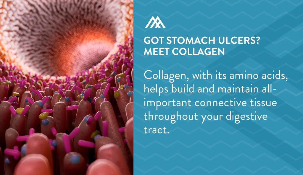 What is collagen or collagen peptides?