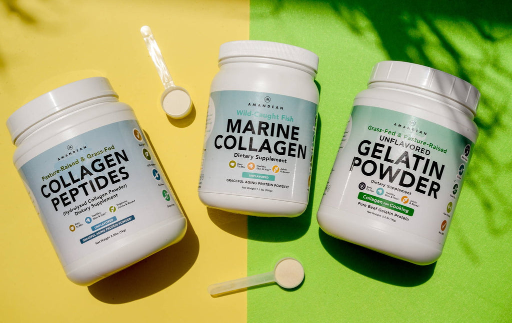 Collagen Nutrition