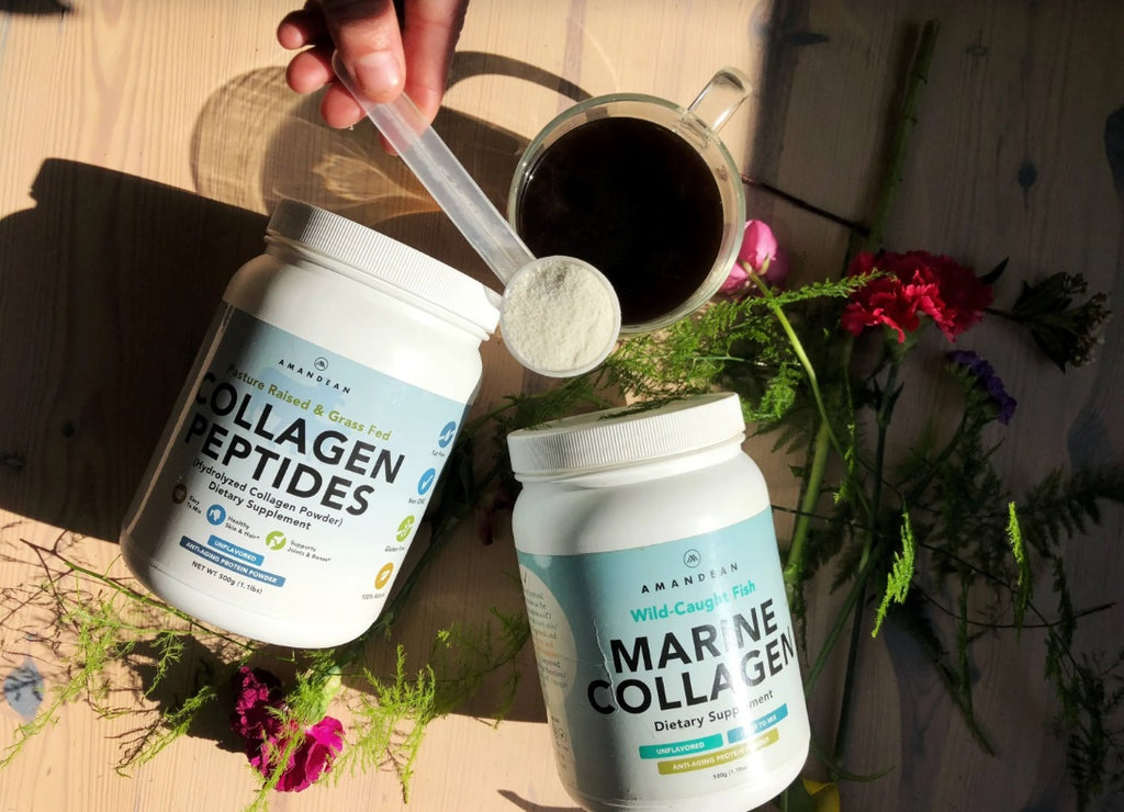 Collagen Nutrition