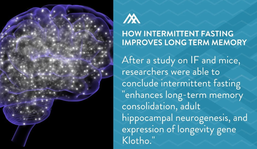 Intermittent Fasting & Long-Term Memory Function