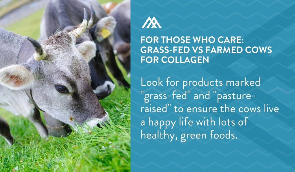 Grass-fed and pasture-raised collagen