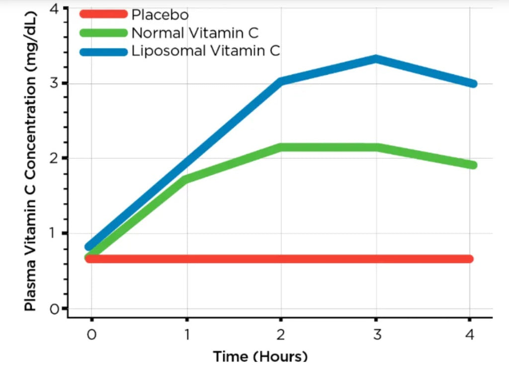 Vitamin C Bioavailability