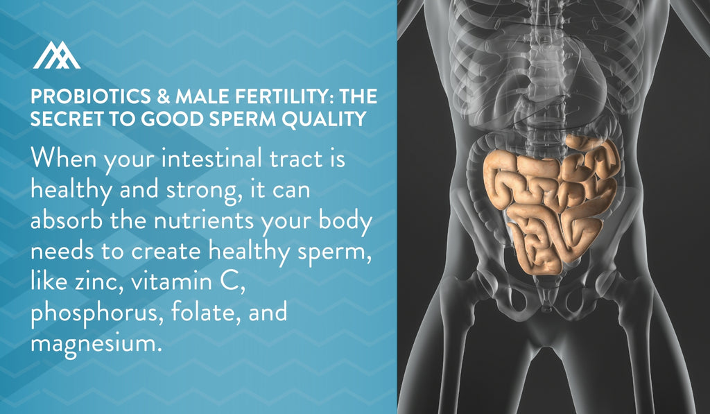 A Healthy Intestinal Tract Can Absorb the Nutrients