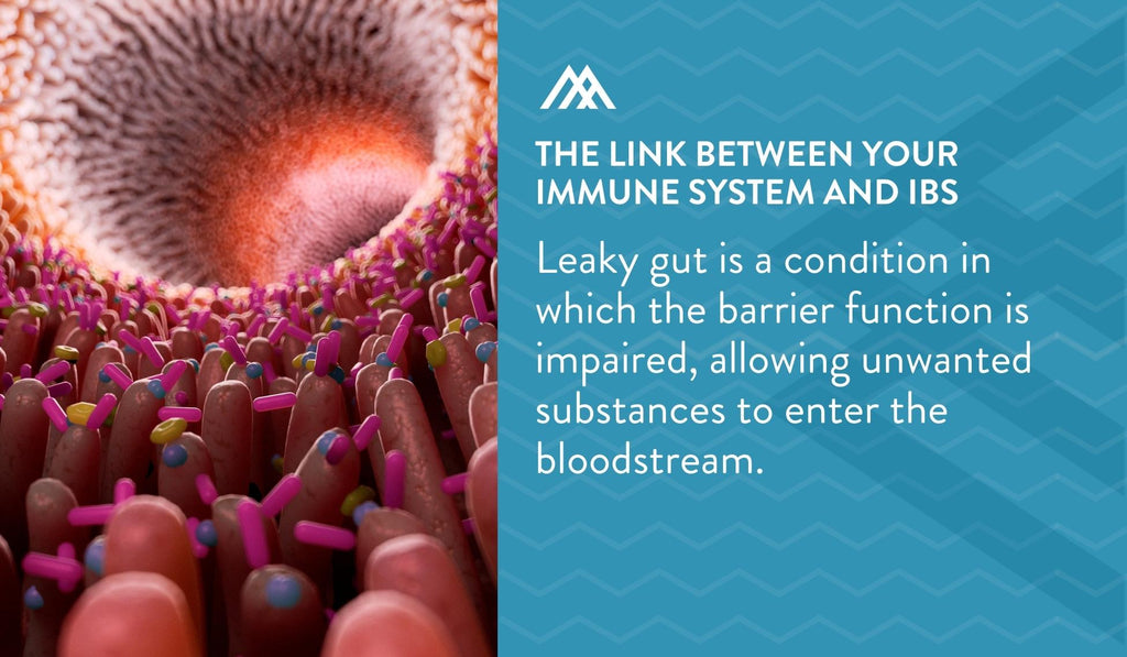 Leaky Gut Impacts the Barrier Function