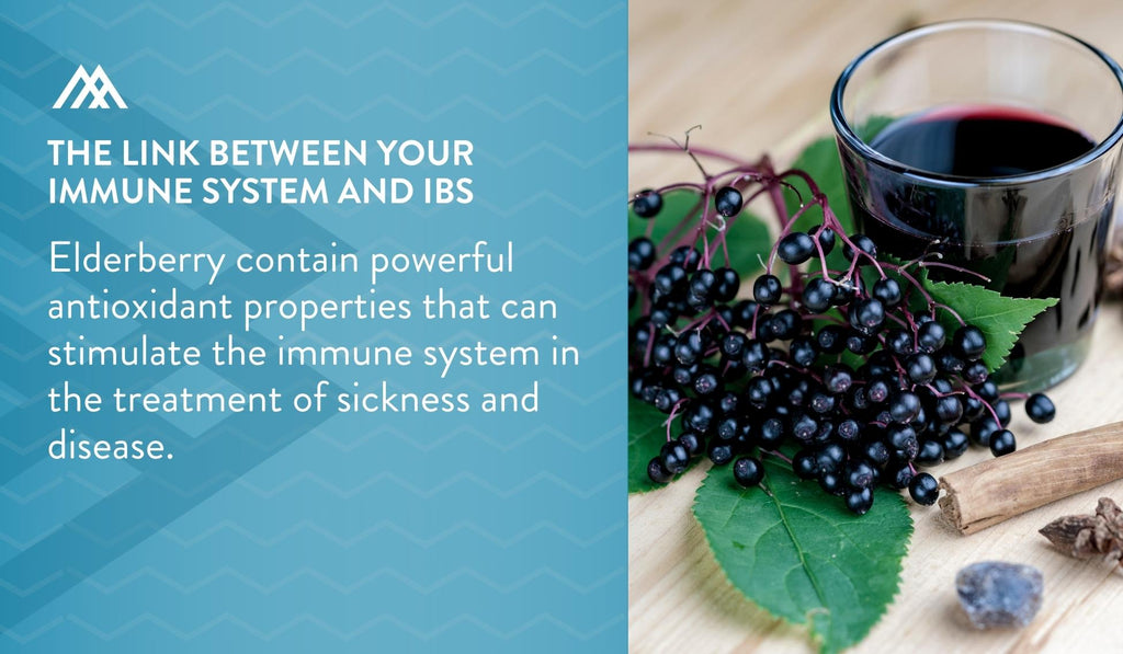 Powerful Antioxidant Properties of Elderberry