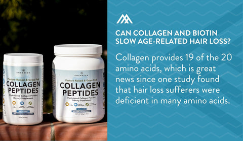 Collagen Rich in Amino Acids