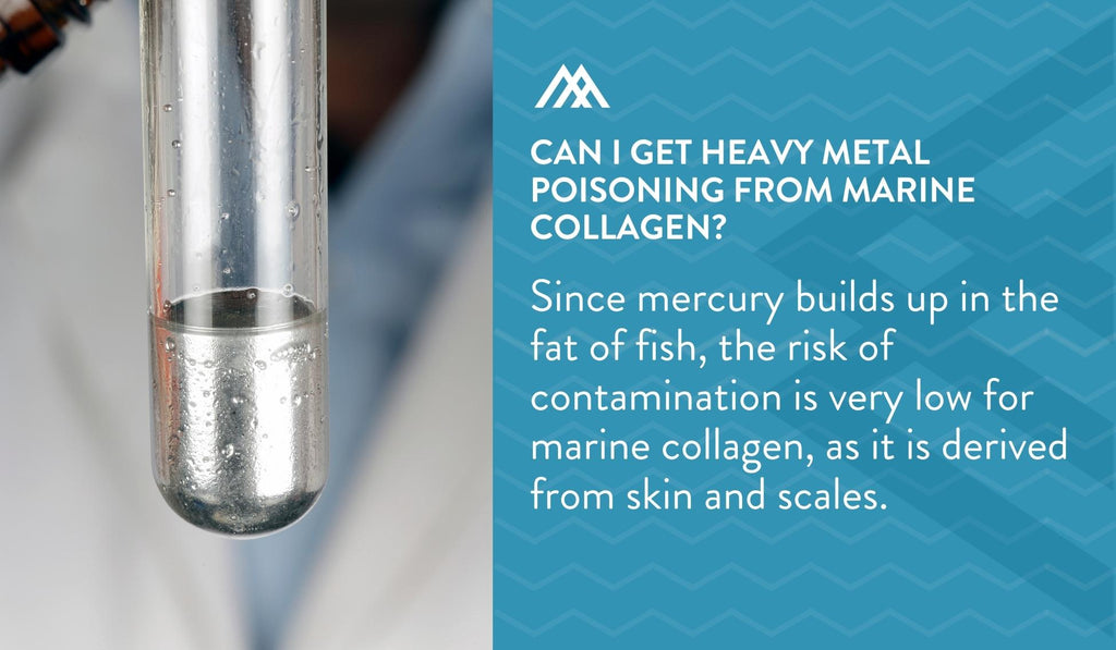 Mercury Builds Up in the Fat of the Fish
