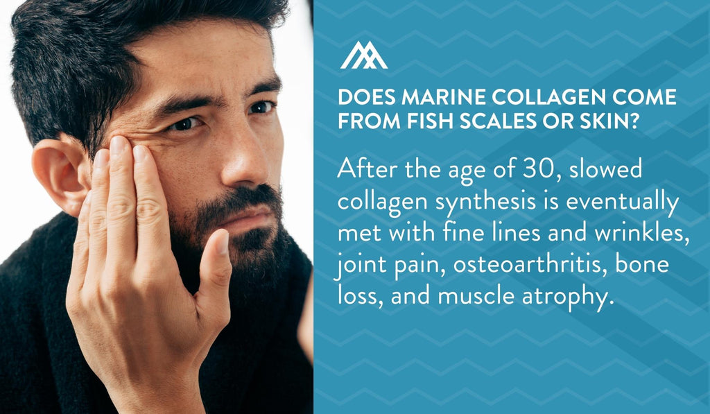 Slowed Collagen Synthesis after the Age of 30