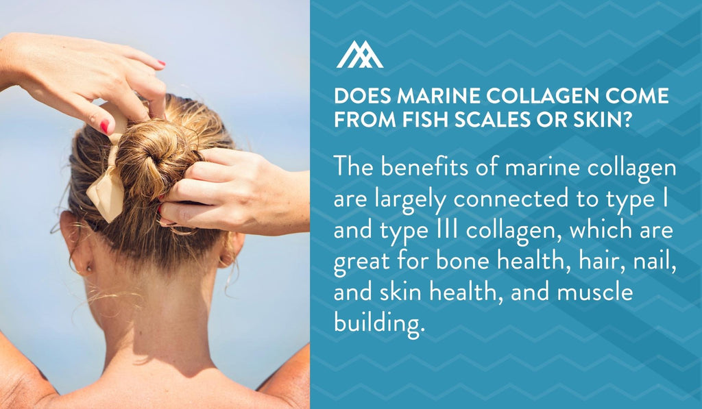 The Benefits of Marine Collagen
