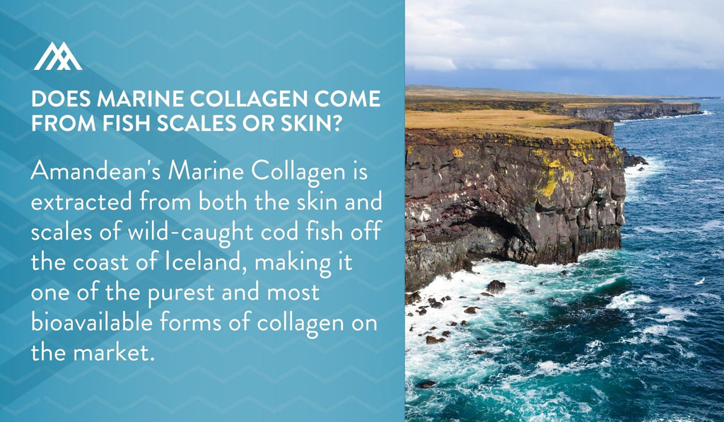 Amandean's Marine Collagen