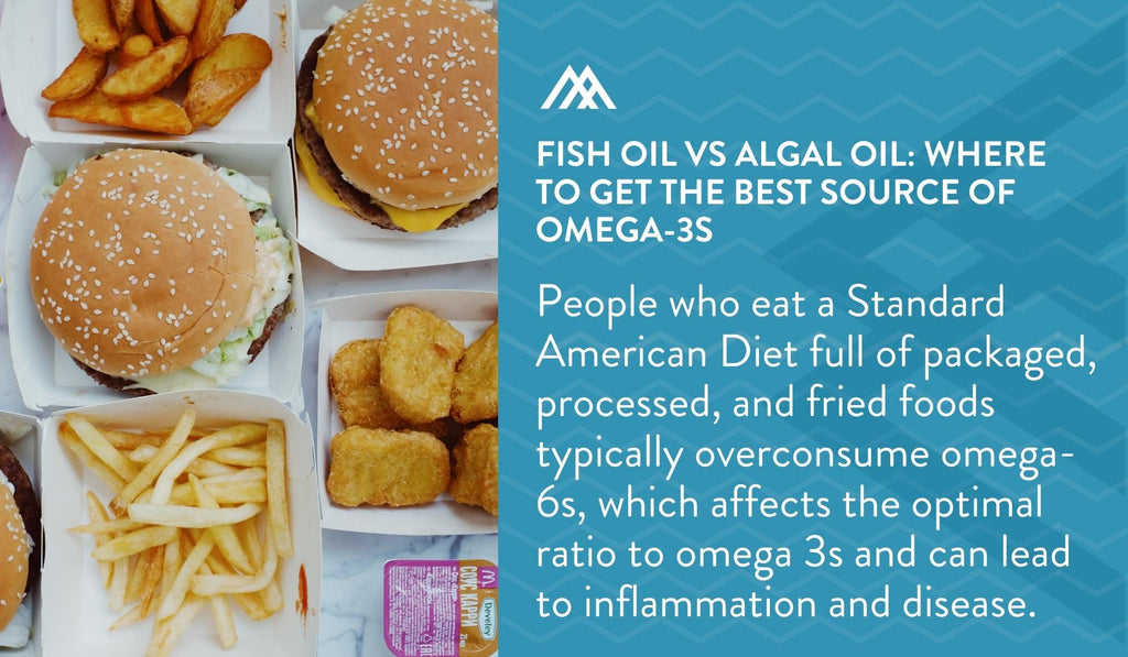 Algae Oil vs Fish Oil: Which One Is Right for You?