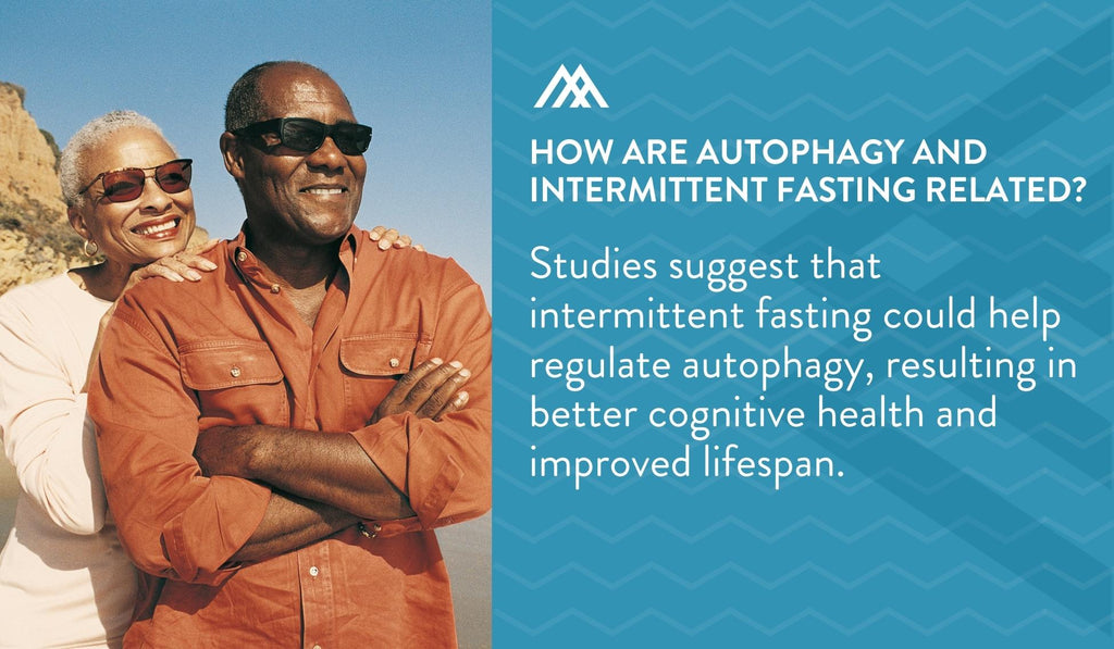 Intermittent Fasting Could Regulate Autophagy