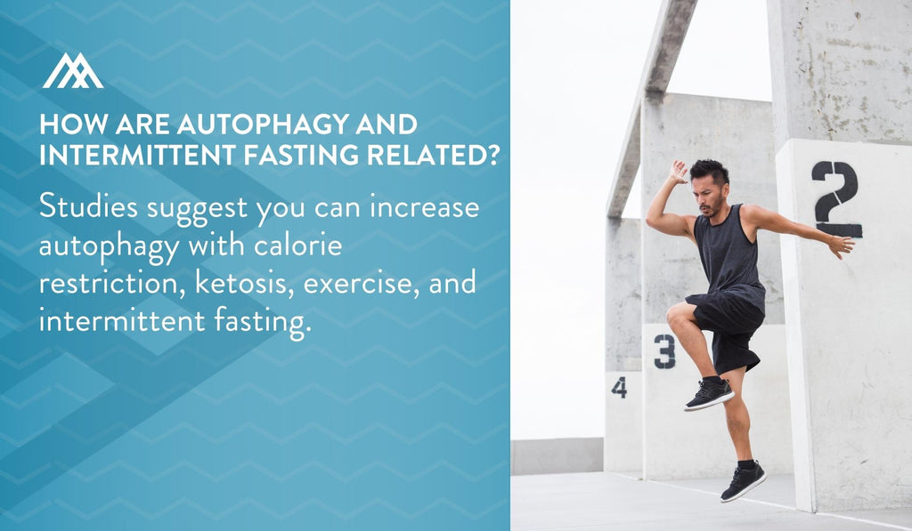 Increase Autophagy with Calorie Restriction