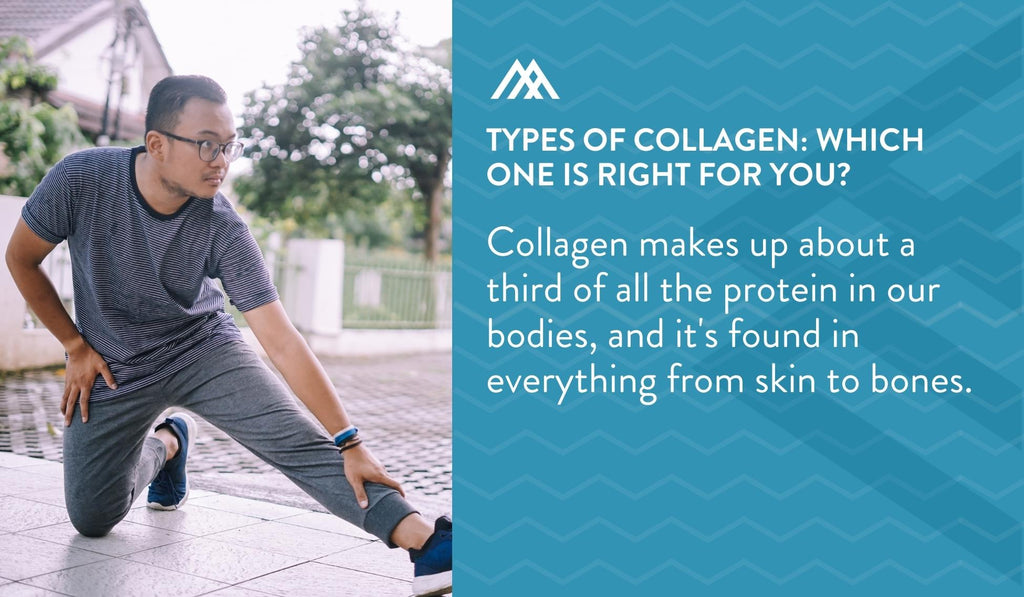 Collagen The Most Abundant Bodily Protein