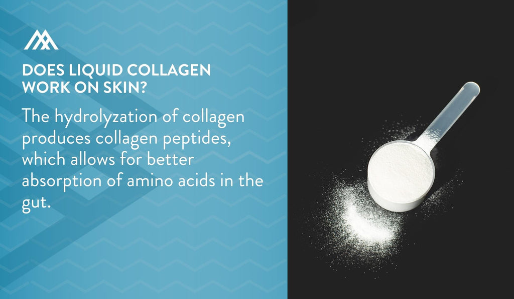 Hydrolyzation of Collagen
