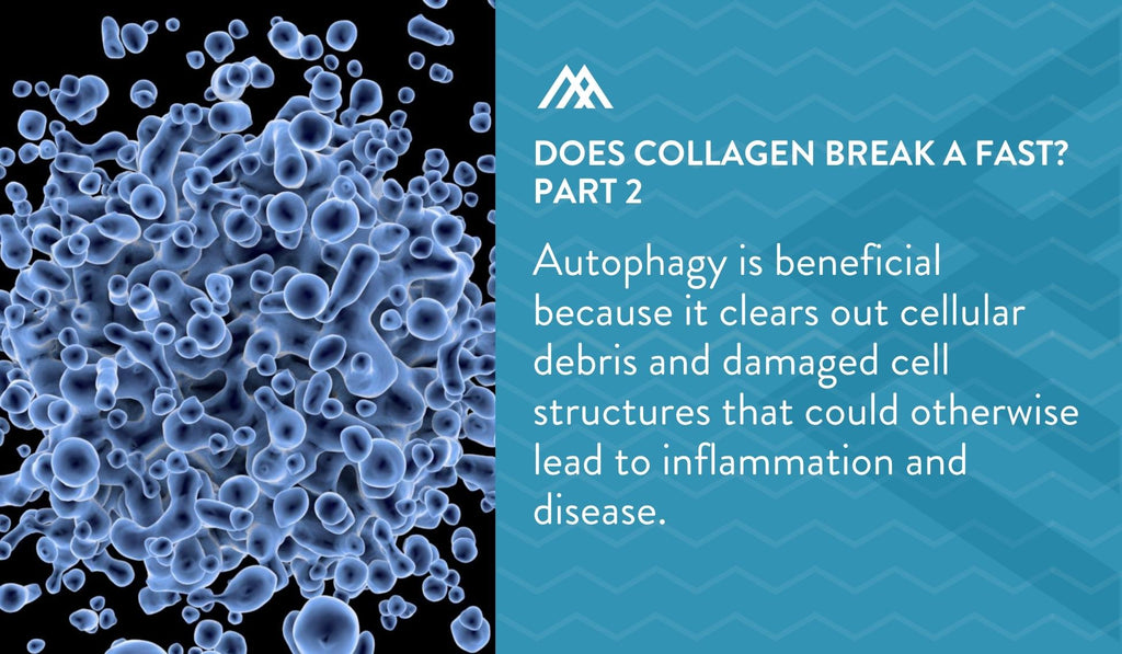 Benefits of Autophagy