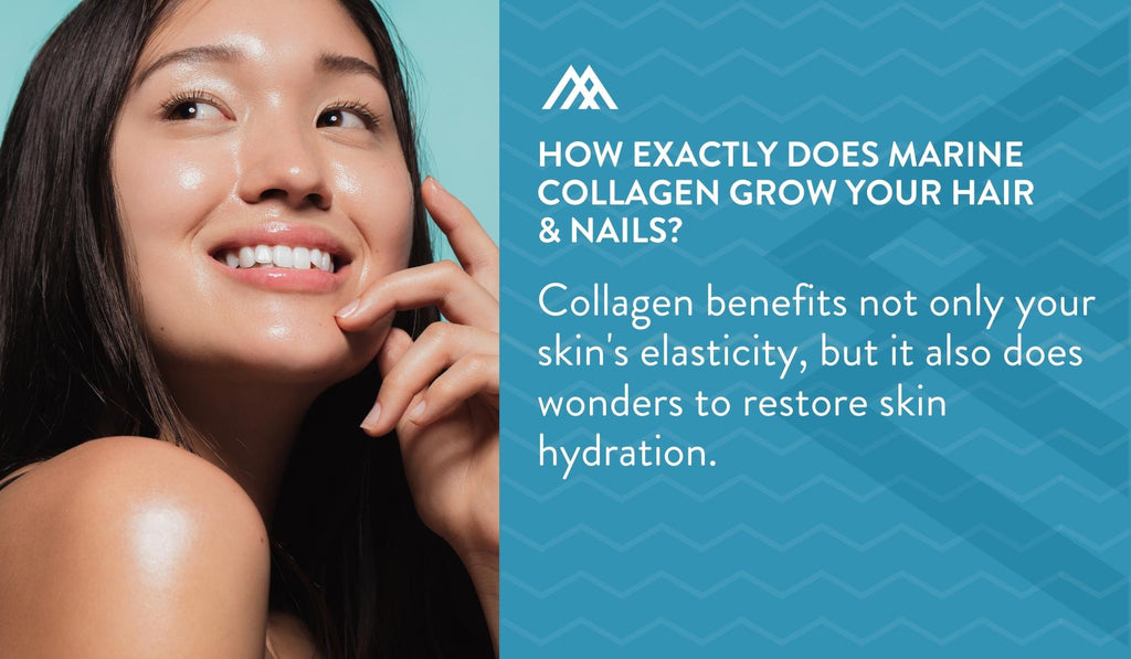 Collagen for Skin Elasticity and Hydration