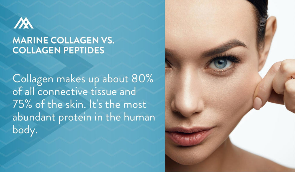 Collagen Makes Up About 75% of the Skin