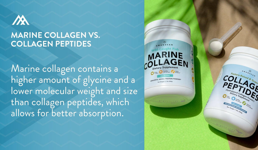 Marine Collagen Is More Easily Absorbed