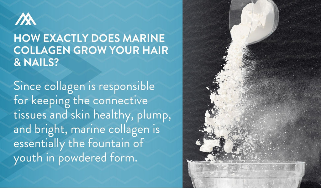 Marine Collagen is the Fountain of Youth