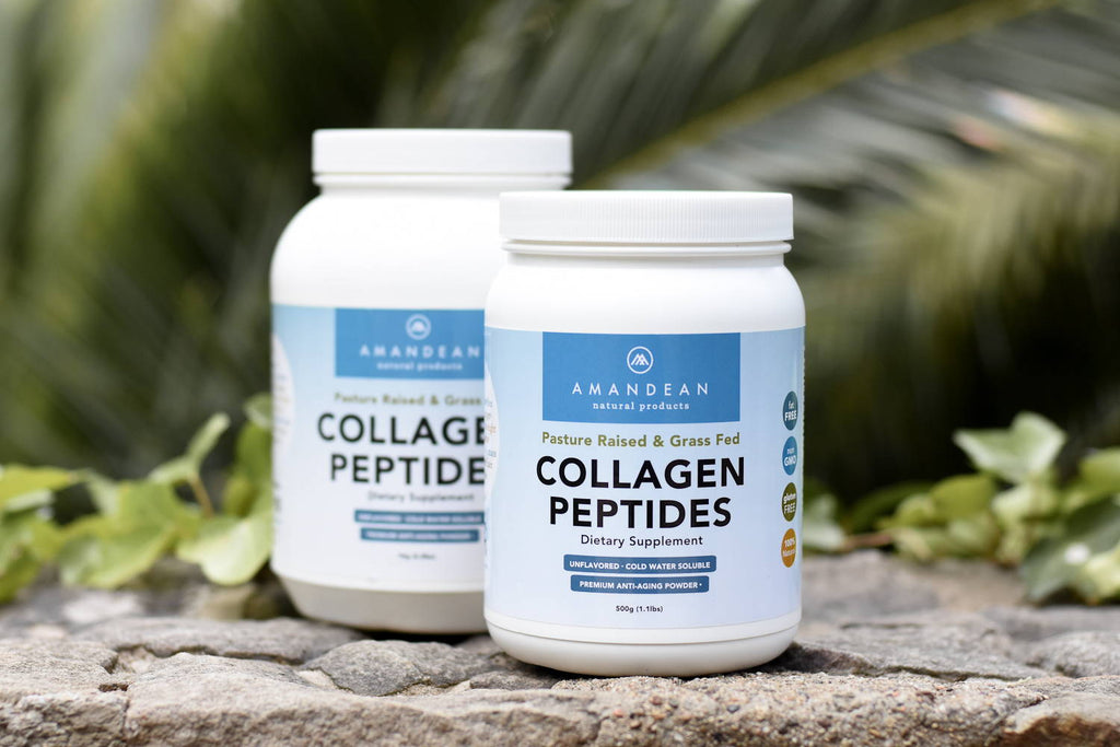 Hydrolyzed Collagen Nutrition