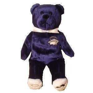 navy blue teddy