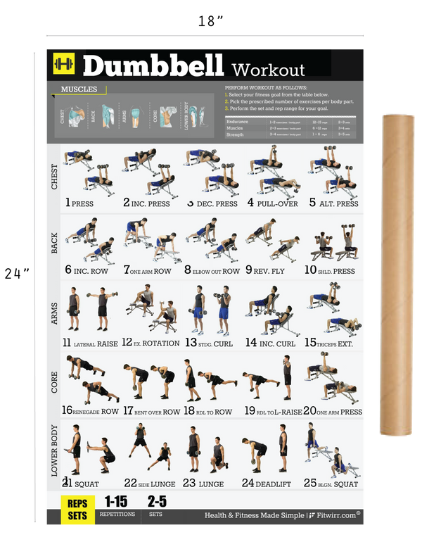 Dumbbell Workout Exercise Poster for Men 18"X24" Laminated ...