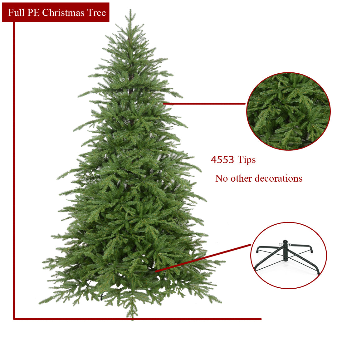best christmas tree in india