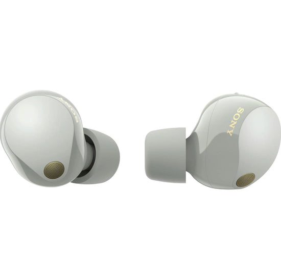 Sony WF-1000XM3 True Wireless Noise Cancelling In-Ear Headphones  WF1000XM3/B - Best Buy