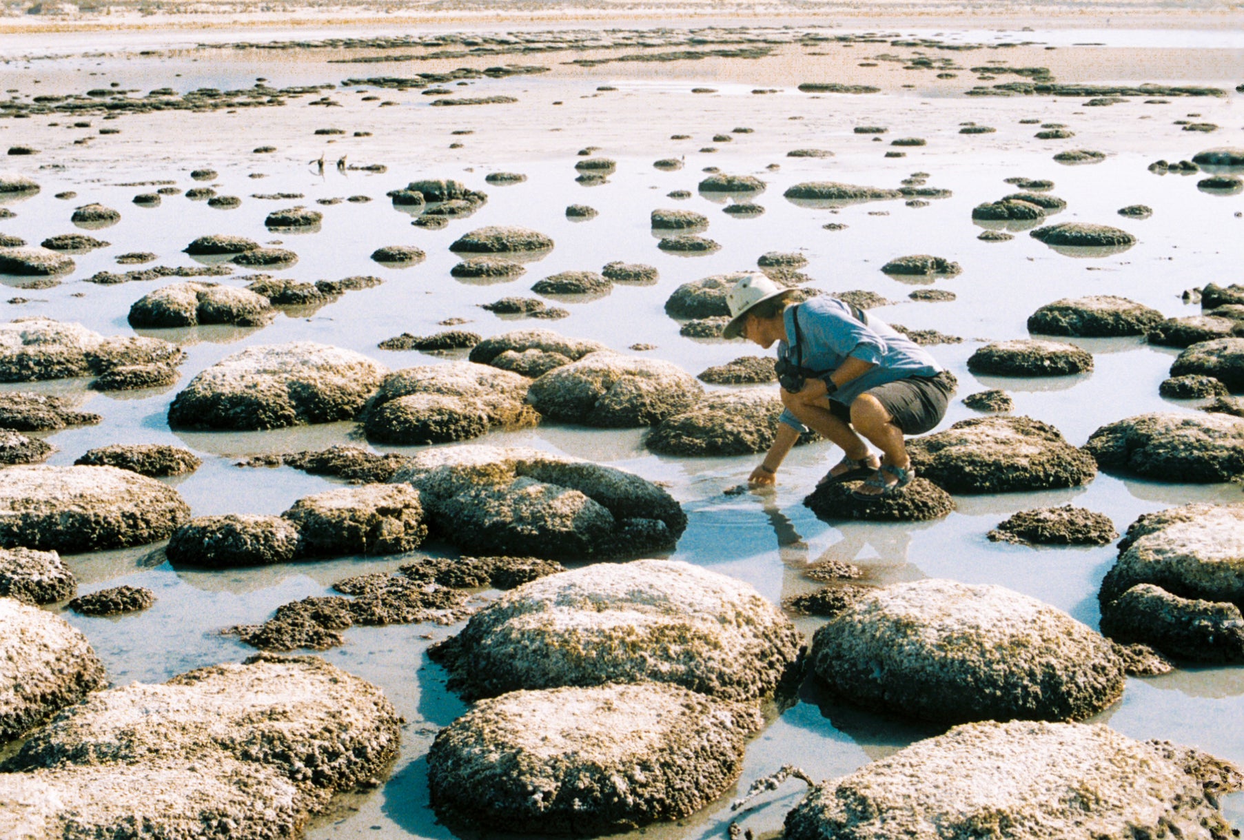 Photo of person crouching near dried microbialites at Great Salt Lake by Chandler Rosenberg