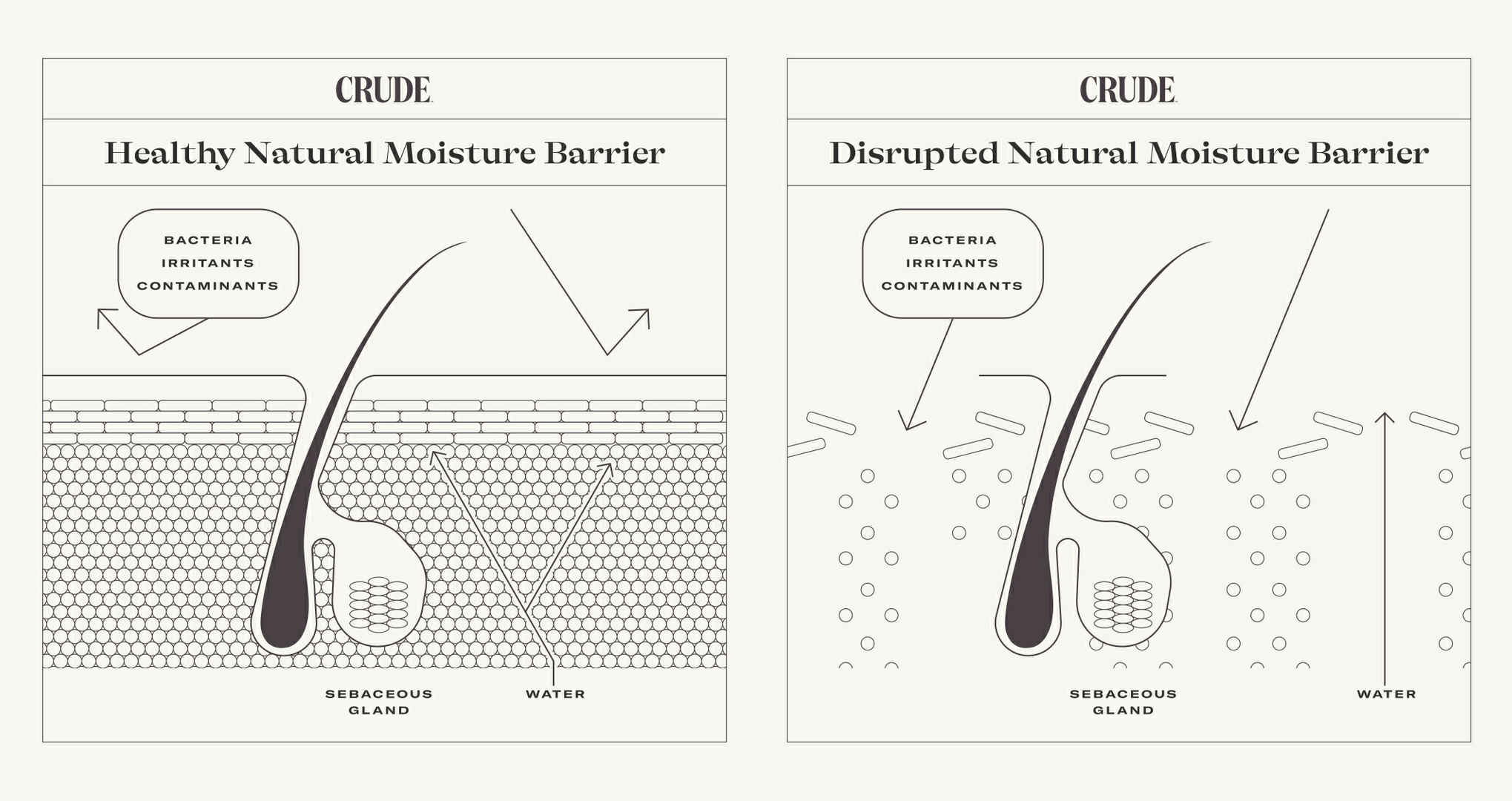 Natural moisture barrier illustration