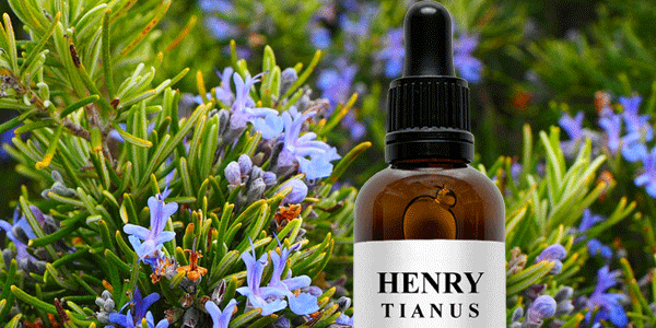Rosemary Extract Reduces Dihydrotestosterone (DHT) in Hair Follicles