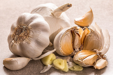 immune boosting garlic