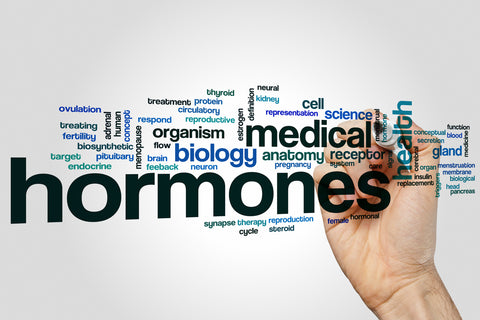 word chart about hormones