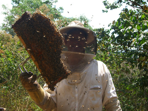 Michael holding a frame full of bees