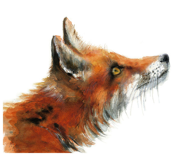 Fox Watercolor Archival Print